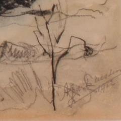 A landscape drawing by Van Driesten